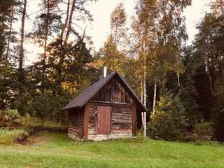 Дома для отпуска Forest house Einblūti Avotkalni Дом с 3 спальнями-15
